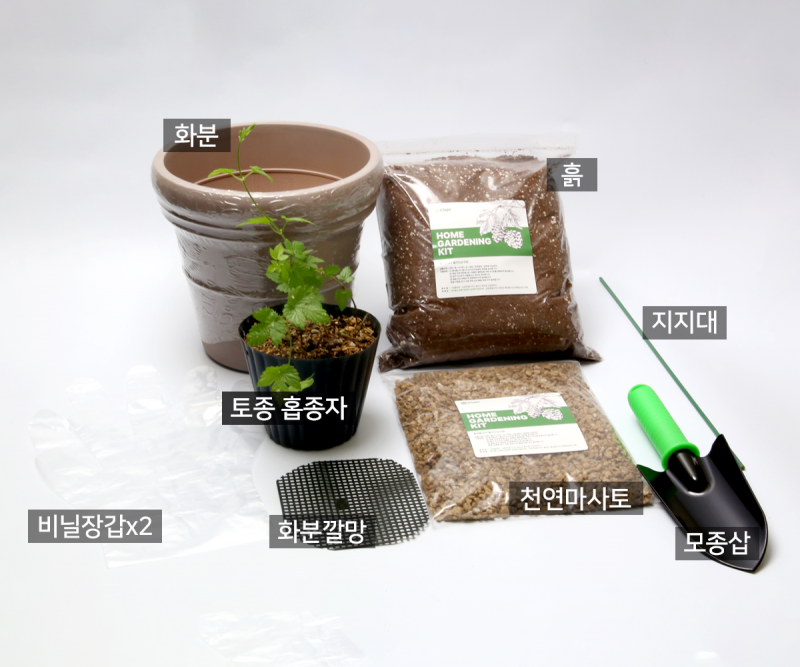 홍천홉 플랜테리어 키트